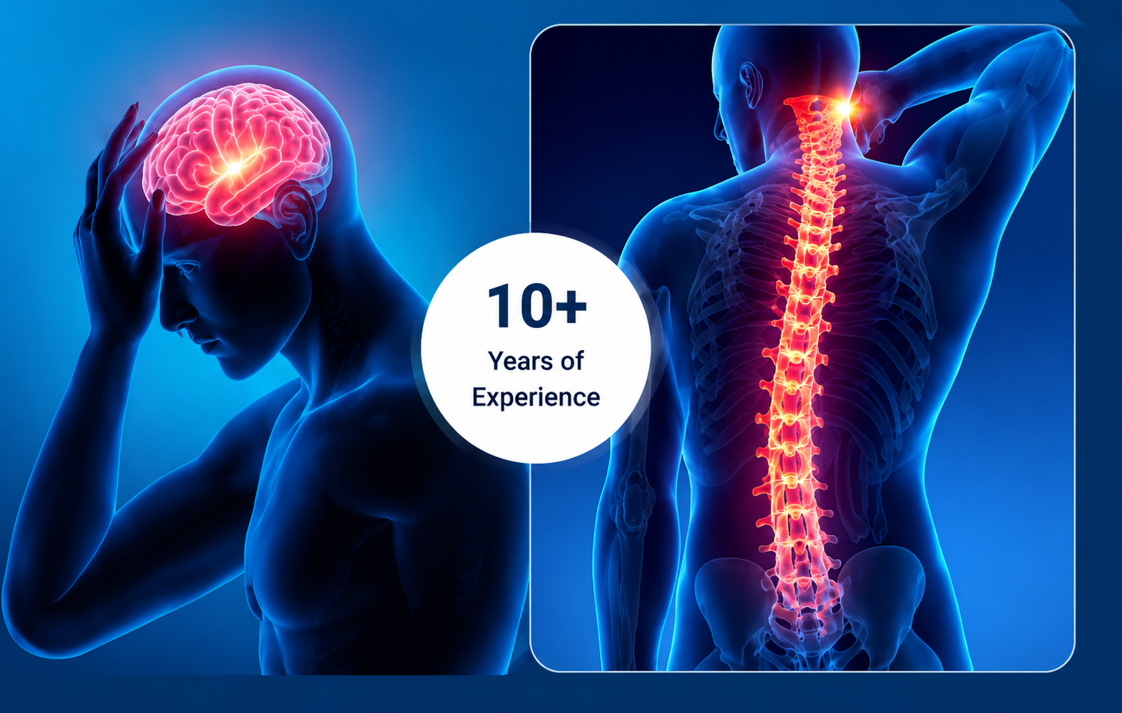Neurological brain imaging and spine imaging illustration with 10+ years of experience badge